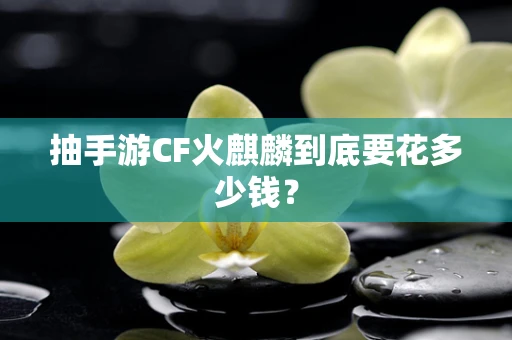 抽手游CF火麒麟到底要花多少钱？
