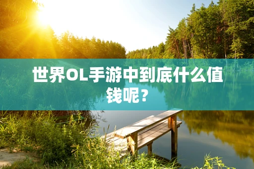 世界OL手游中到底什么值钱呢？