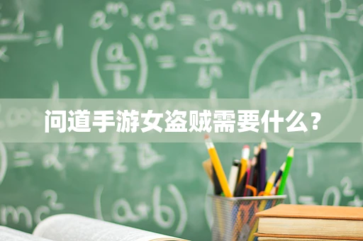 问道手游女盗贼需要什么？