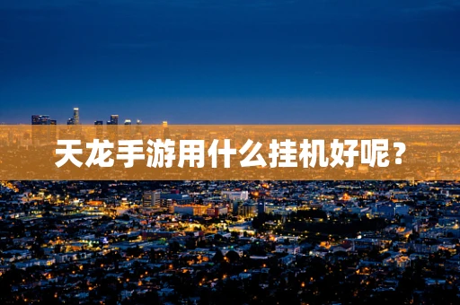 天龙手游用什么挂机好呢？