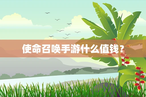 使命召唤手游什么值钱？