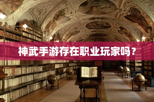 神武手游存在职业玩家吗？