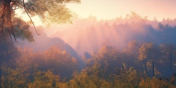 黎明觉醒手游音乐叫什么？