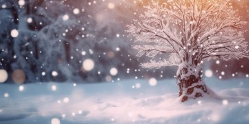 暖雪手游恐惧之心该搭配什么？